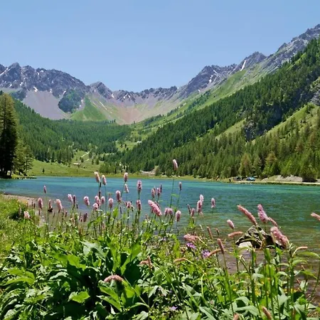 Appartamento L'oxalys ! Coin Montagne - Pied Des Pistes & Centre